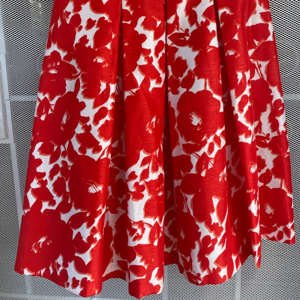 Red & White Danny and Nicole Dress - Picture 3 of 12